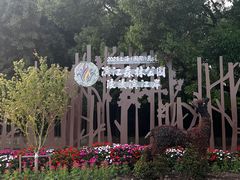 -上海滨江森林公园