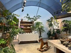-自由生长植物工作室(深港花卉中心店)