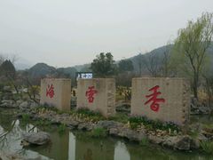 -香雪海