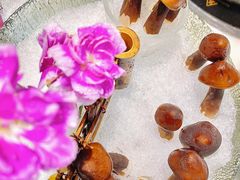 -喜聚薈·花膠雞海鮮火鍋(越秀店)