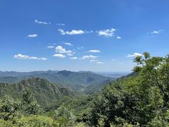 -大岭沟猕猴桃谷风景区