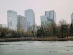 -团结湖公园