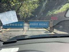 -攀枝花公园