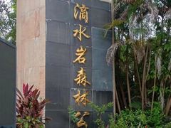 -滴水岩森林公园
