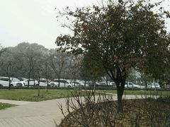 -河南省黄河迎宾馆