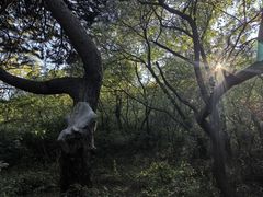-北陵公园