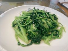 鸡毛菜-日出青木·杭帮菜名店