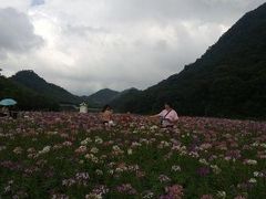 -广州市石门国家森林公园