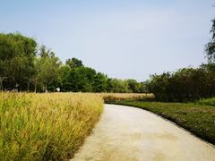 -翠湖国家城市湿地公园