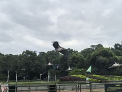 -深圳野生动物园