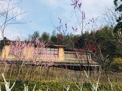 -常德桃花源景区