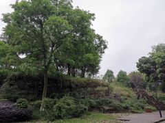 -大渡口区义渡公园
