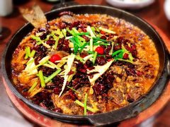 老板恋上鱼-老板恋上鱼(高新万达店)