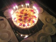 -皇冠幸福里动物奶油生日蛋糕(石桥店)