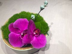 -子福慧(虹桥店)