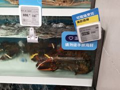 -盒马X会员店(王府井奥莱UP TOWN店)