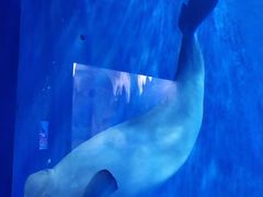 -多彩贵州城极地海洋世界