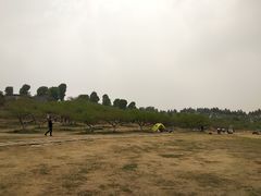 -秀丽东方