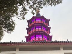 -绳金塔