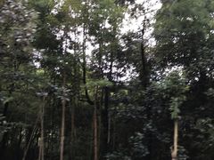 -广州市石门国家森林公园