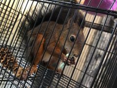 -MOJO密室逃脱(中街旗舰店)