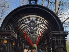 -合肥滨湖国家森林公园