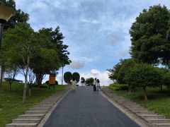 -东莞植物园
