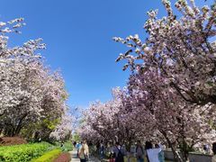 -元大都城垣遗址公园