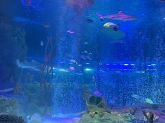 -沈阳海洋探索中心