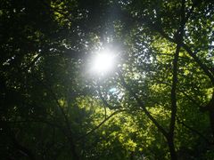 -幕燕滨江·燕子矶公园