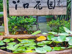 -丫口花园餐厅·融合菜