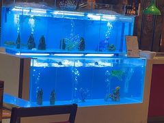 -怡咖啡·自助餐·西安香格里拉