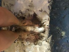 -水晶之星洗浴温泉汗蒸