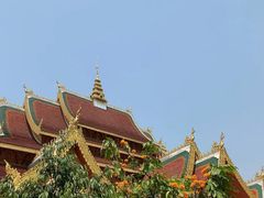 -西双版纳原始森林公园