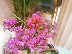 -LR HOUSE美甲美睫