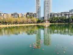 -宝岛公园