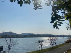 -羊山湖公园