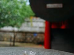 -四祖寺