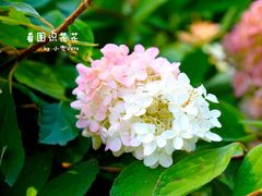 -吉林大学(南岭校区)