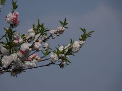 -宝石山