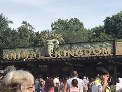 -奥兰多迪士尼动物王国乐园