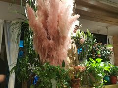 -春暖花开(西溪店)