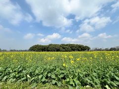 -中国天府农业博览园