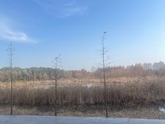 -昆山城市生态森林公园