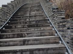 -黄贤森林公园