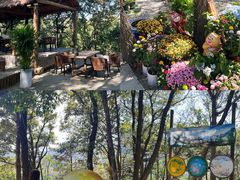 -沂蒙山旅游区云蒙景区(蒙山国家森林公园)