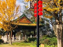 -阅江楼风景区