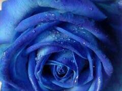 -BomBa意大利餐厅