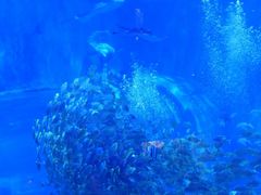 -长沙湘江欢乐雪域