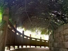 -成都市活水公园